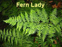 Fern Lady