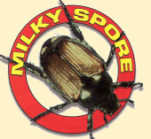 Milky Spore